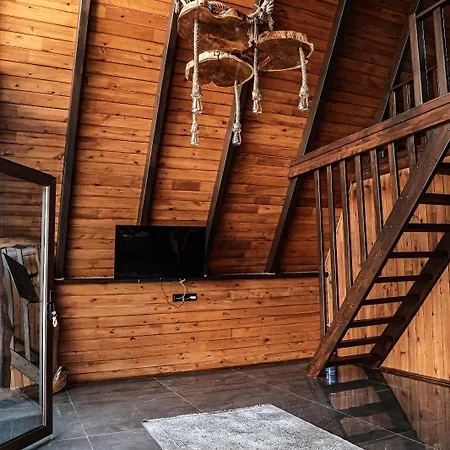 Gezegen 4* Сапанча